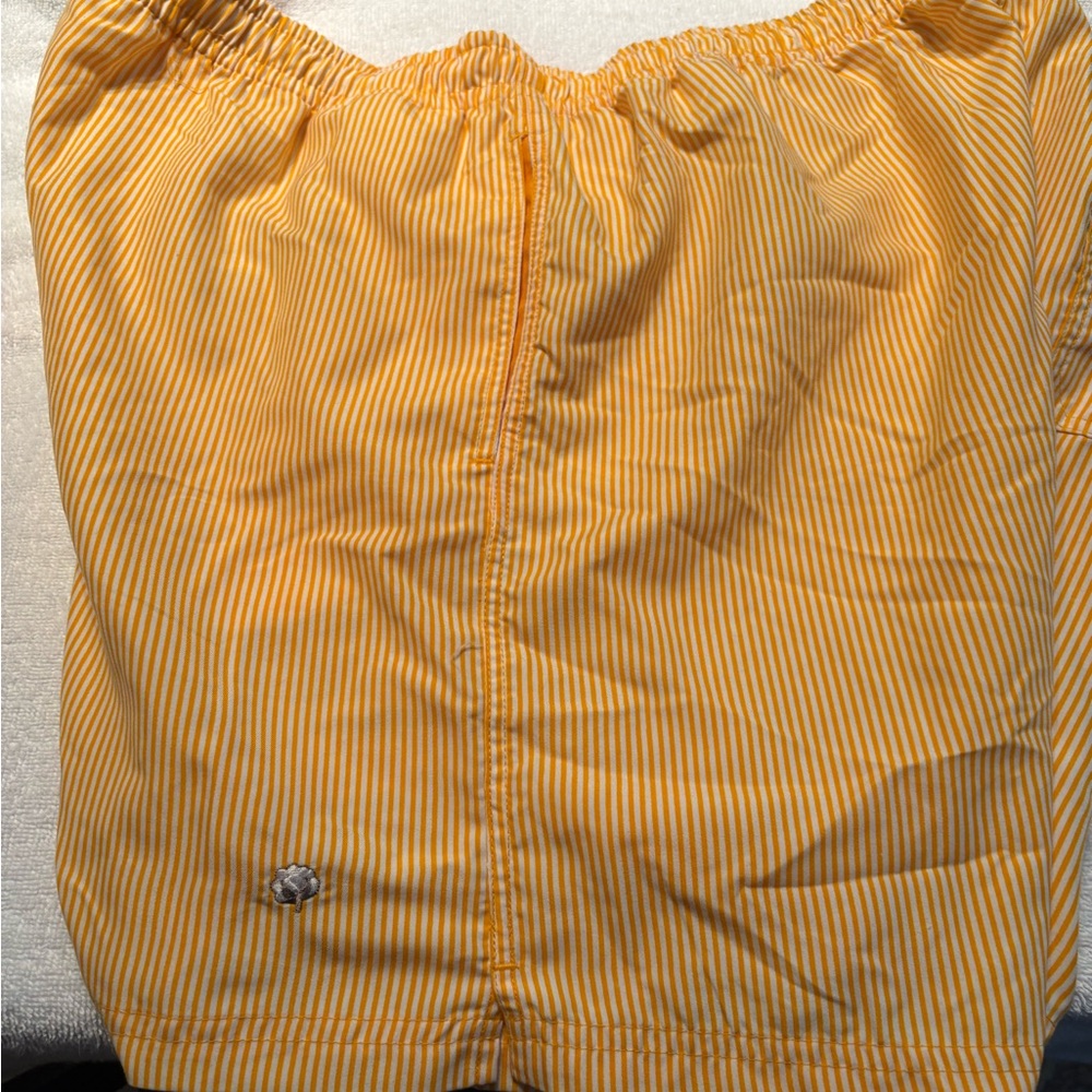 Yellow Striped Men's Swim Shorts